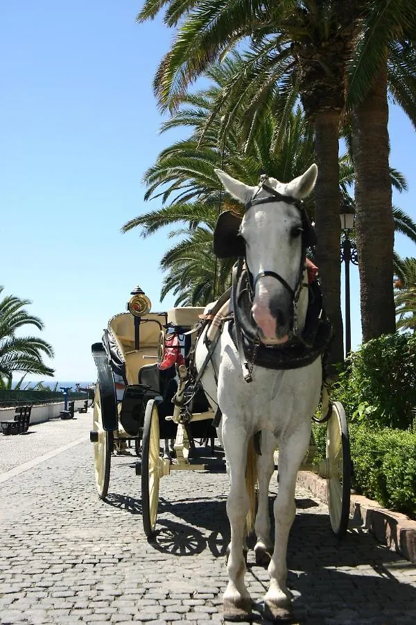 Beachfront Puerto Banus Marbella